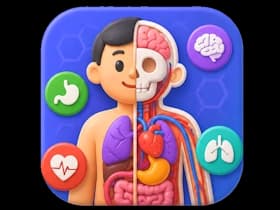 Body Systems Quiz